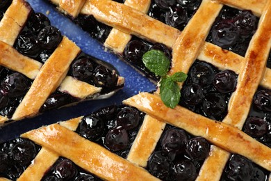 Photo of Tasty homemade blueberry pie with mint on plate, top view