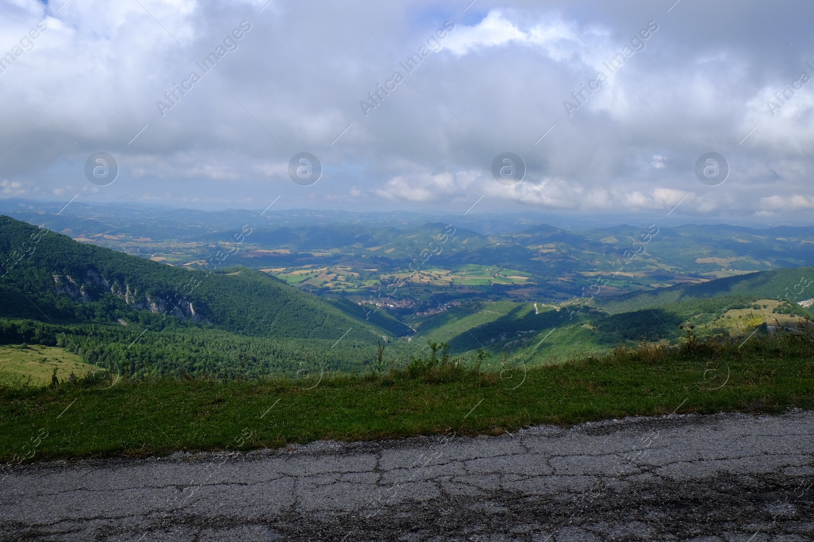 Photo of Picturesque view of green forest and road in mountains