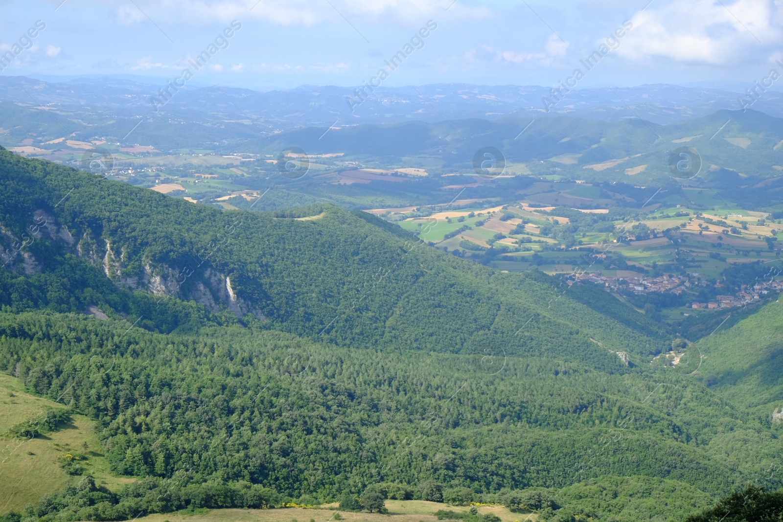 Photo of Picturesque view of green forest in mountains