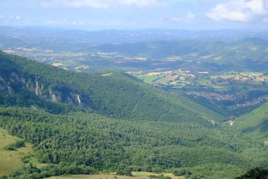 Picturesque view of green forest in mountains