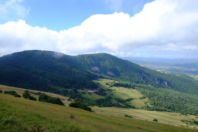 Picturesque view of green forest in mountains