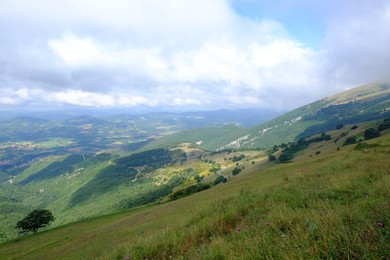 Photo of Picturesque view of green forest in mountains