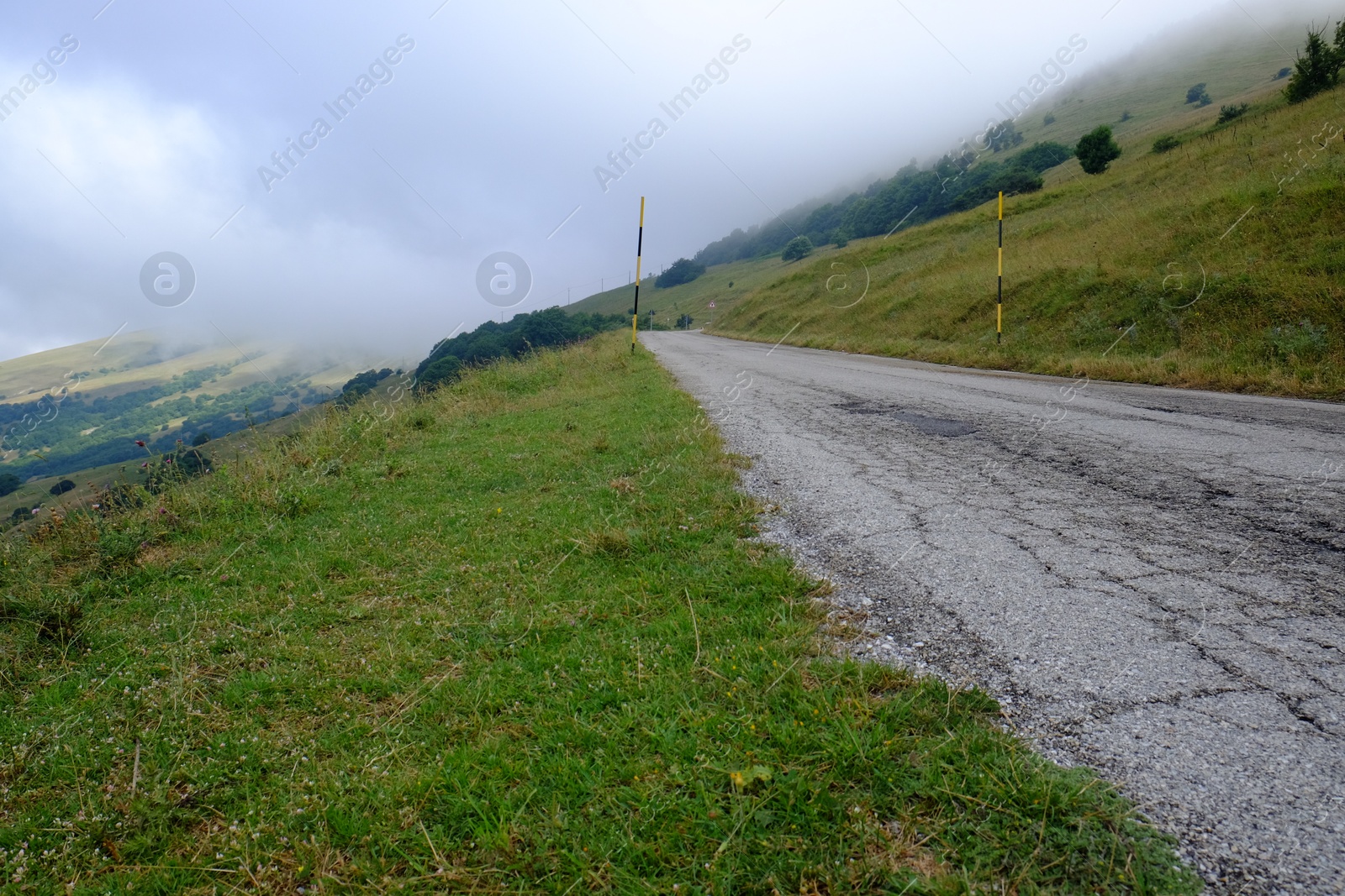 Photo of Picturesque view of green forest and road in mountains