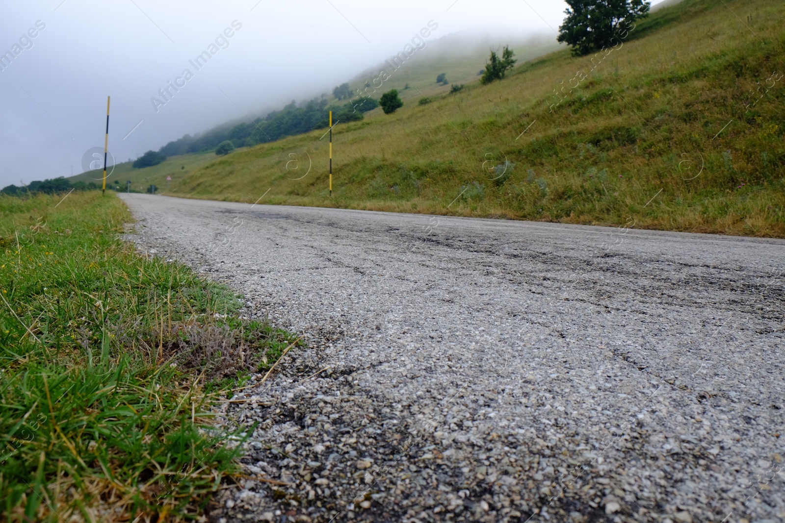 Photo of Picturesque view of green forest and road in mountains