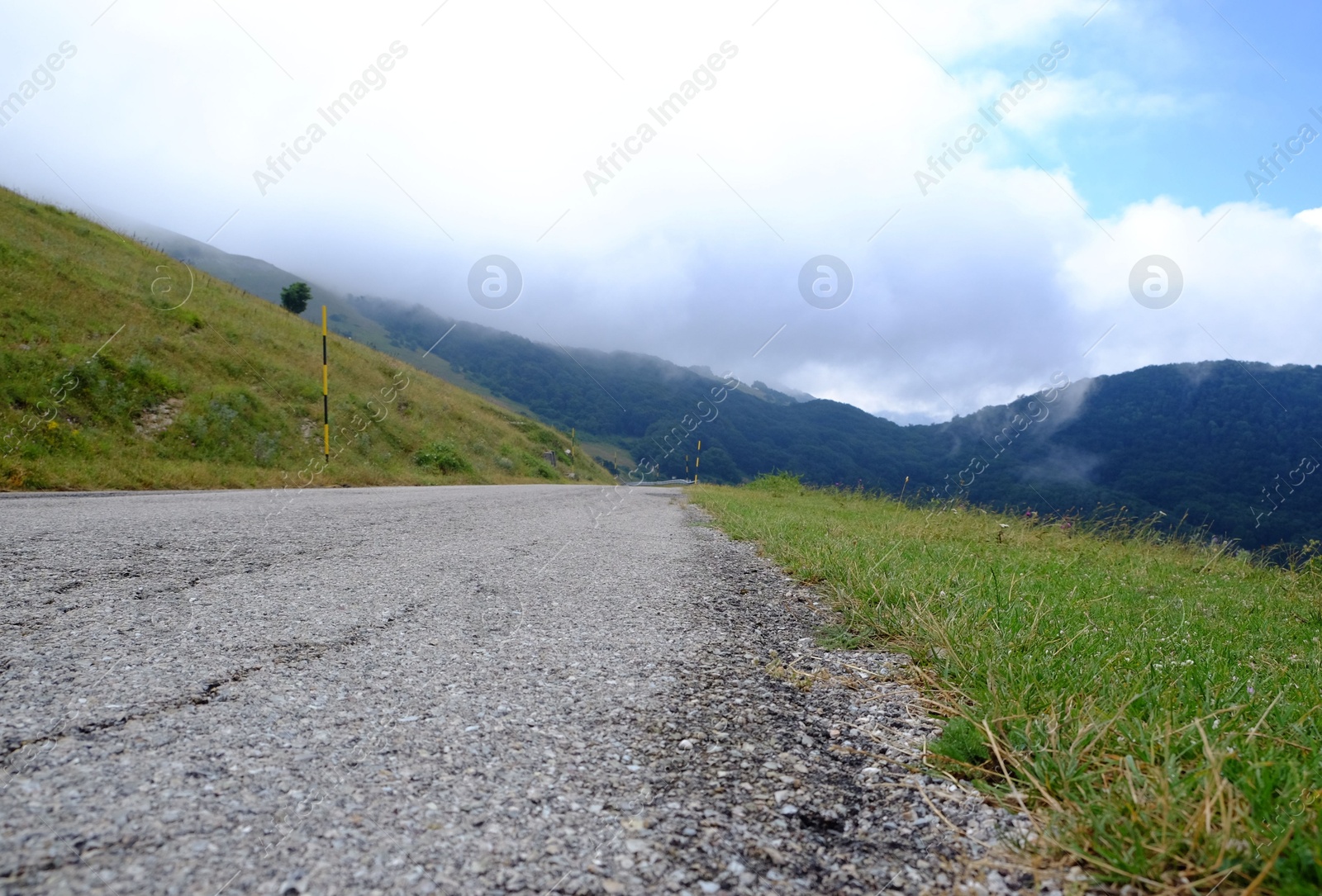 Photo of Picturesque view of green forest and road in mountains