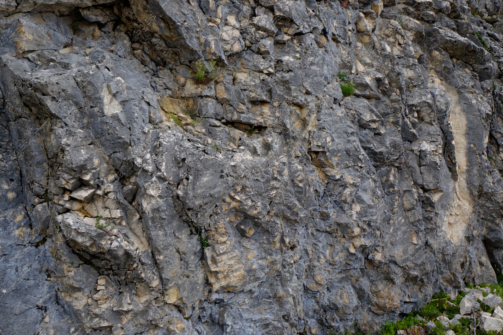 Photo of Texture of rocky cliff with plants in national park