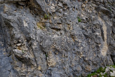 Photo of Texture of rocky cliff with plants in national park