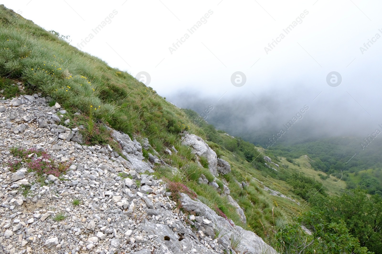 Photo of Picturesque view of fog covering mountains with green grass