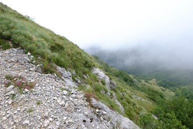 Photo of Picturesque view of fog covering mountains with green grass