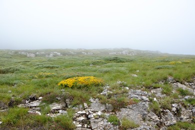 Photo of Picturesque view of rocky mountains covered with clouds