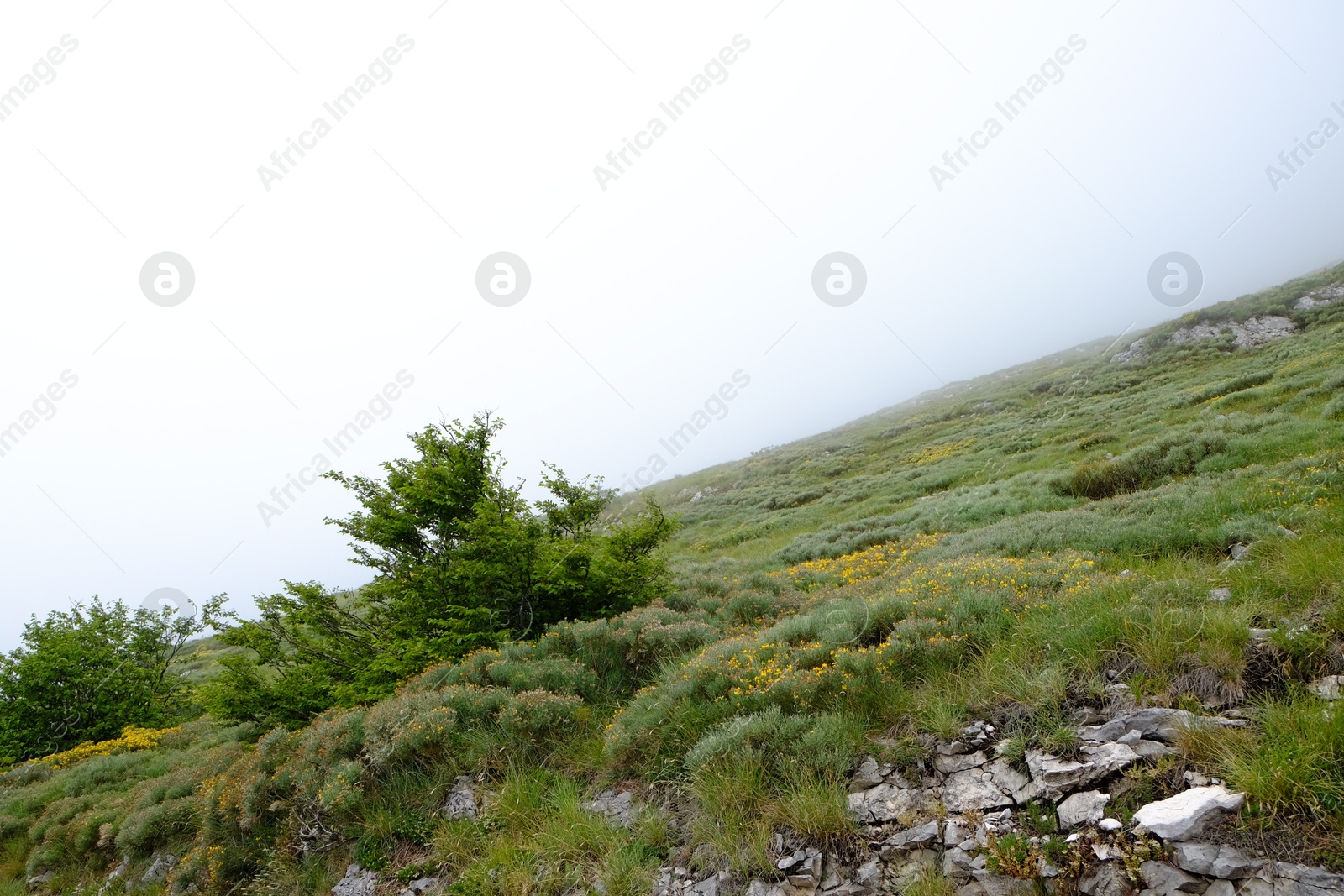 Photo of Picturesque view of rocky mountains covered with clouds