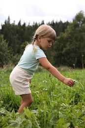 Cute little girl picking flowers at meadow. Enjoying beautiful nature