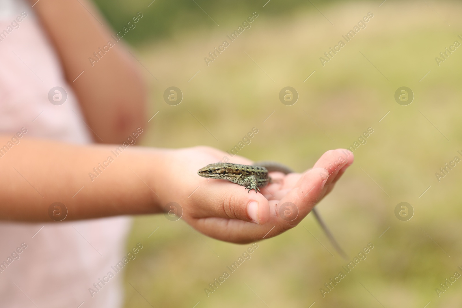 Photo of Little girl holding lizard on blurred background, closeup, space for text. Enjoying beautiful nature