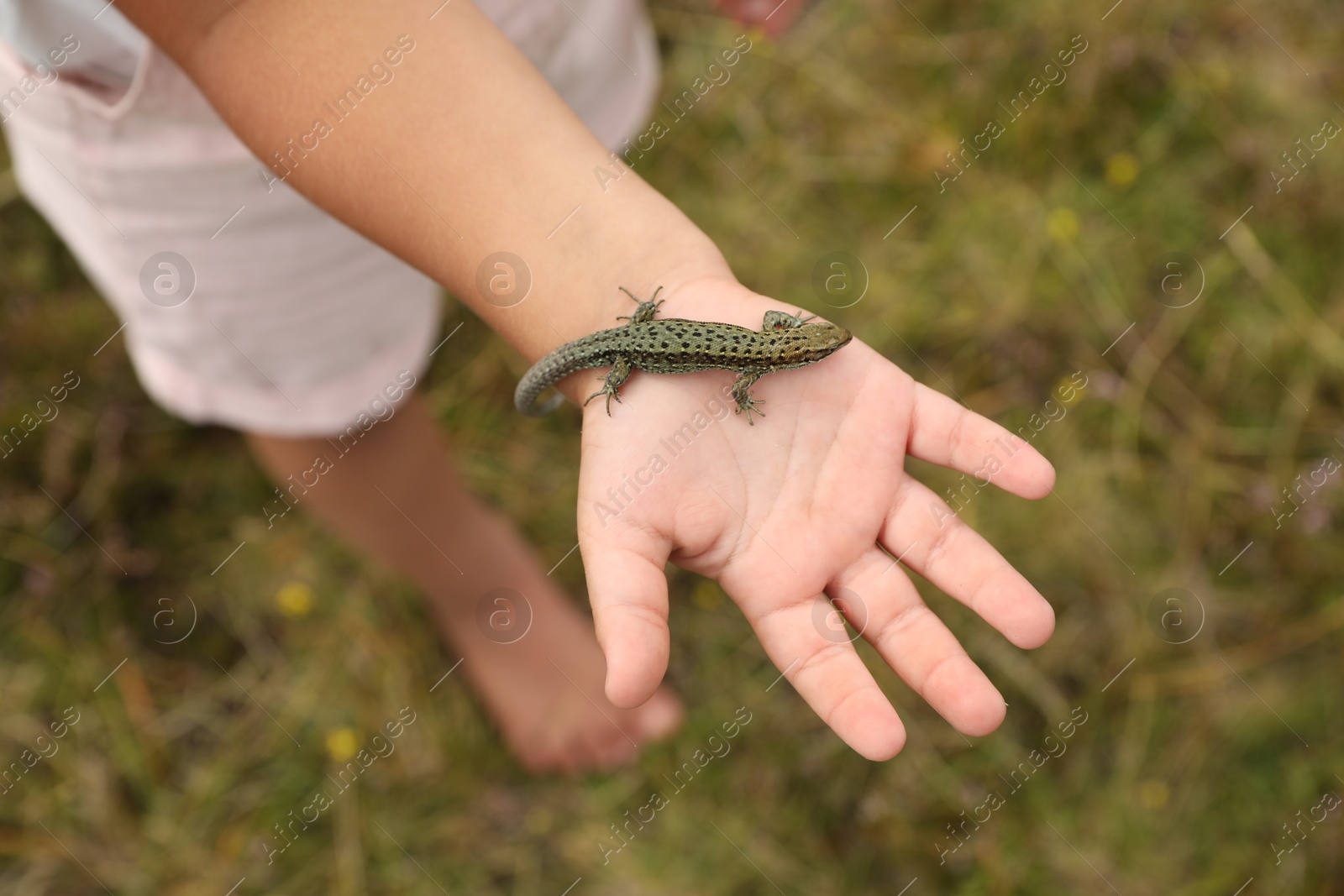 Photo of Little girl holding lizard on blurred background, top view. Enjoying beautiful nature