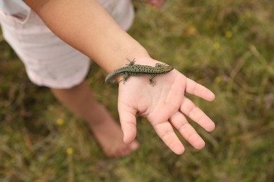 Photo of Little girl holding lizard on blurred background, top view. Enjoying beautiful nature