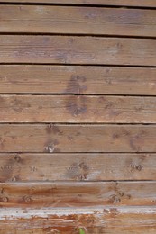 Photo of Texture of wooden surface as background, closeup