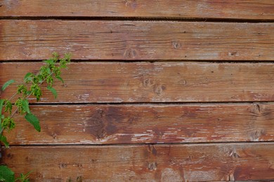 Texture of wooden surface as background, closeup