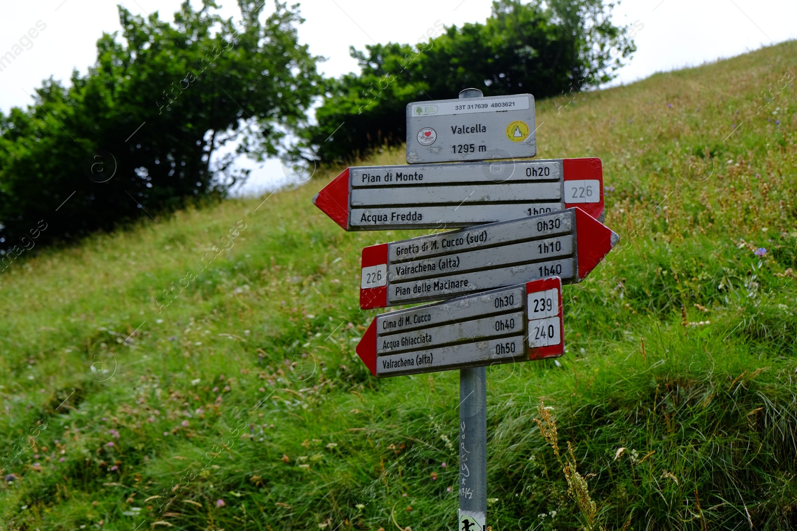 Photo of Signpost with directions near green grass on mountain