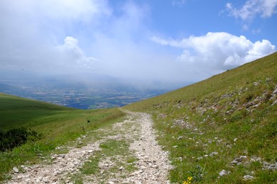 Photo of Picturesque view of green forest and pathway in mountains