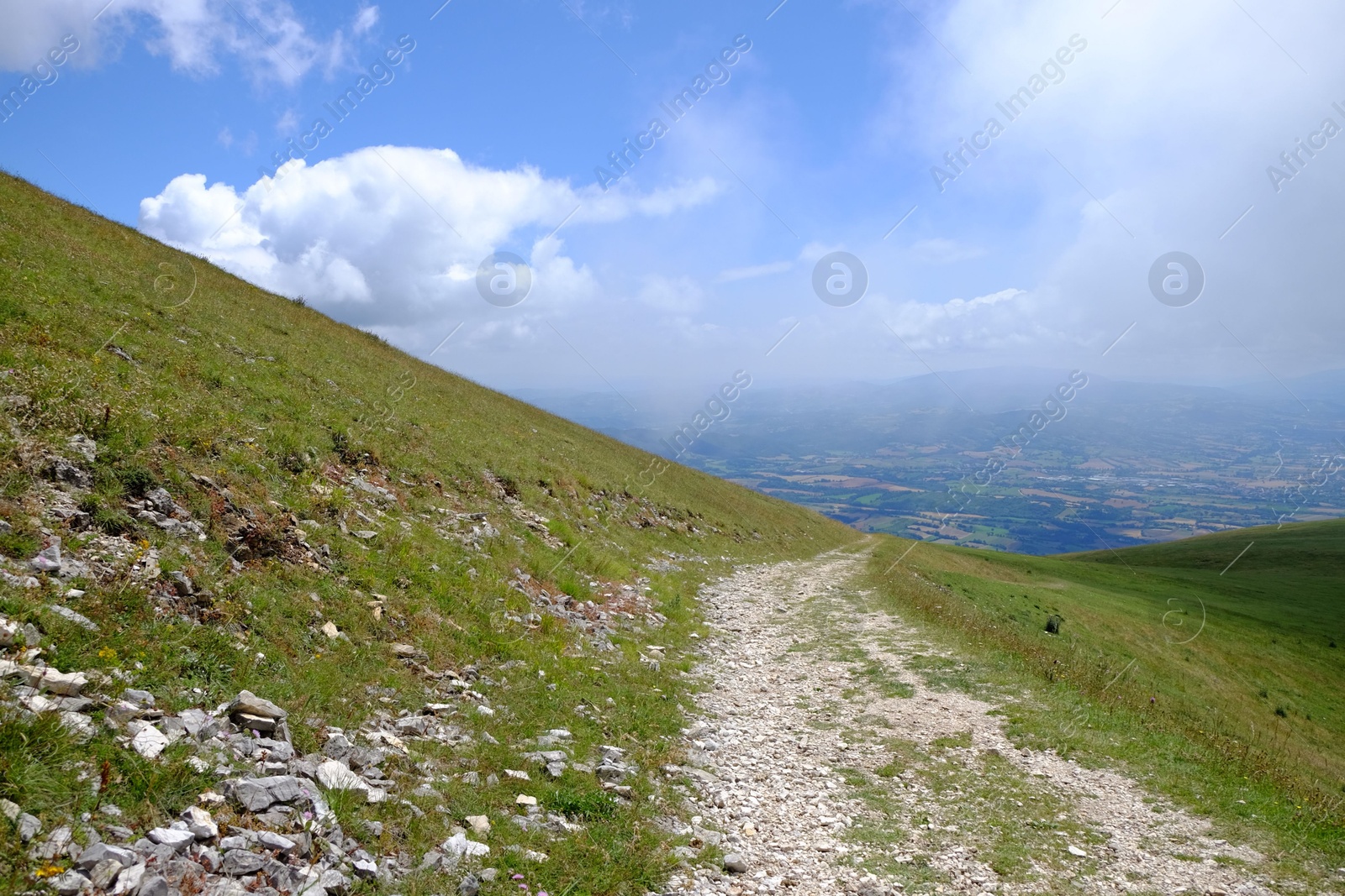 Photo of Picturesque view of green forest and pathway in mountains