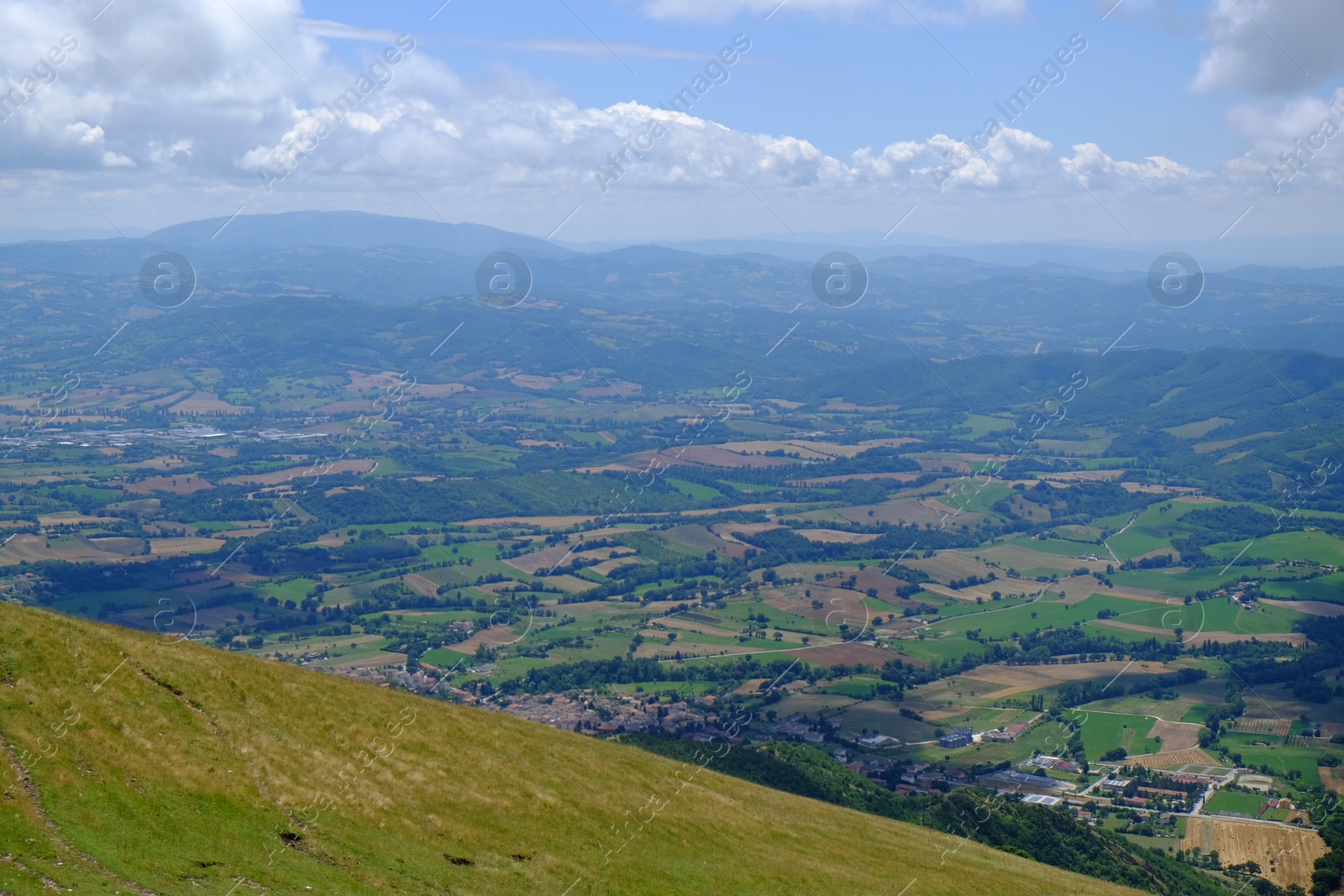 Photo of Picturesque view of green forest in mountains