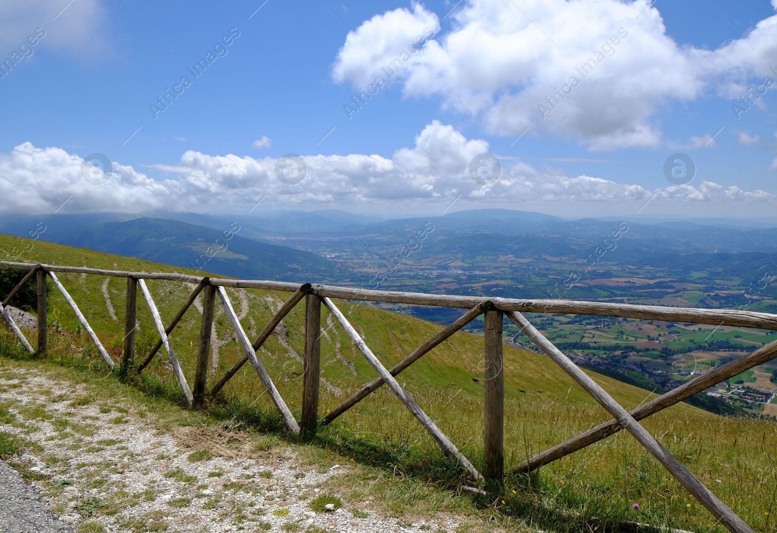 Photo of Picturesque view of green forest and wooden fence in mountains