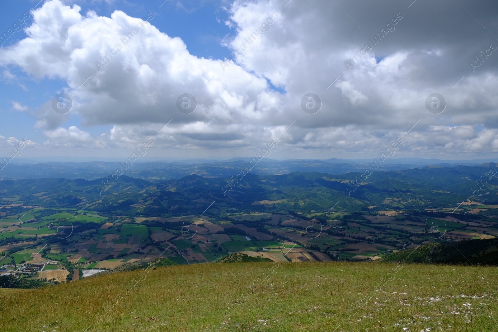 Photo of Picturesque view of green forest in mountains