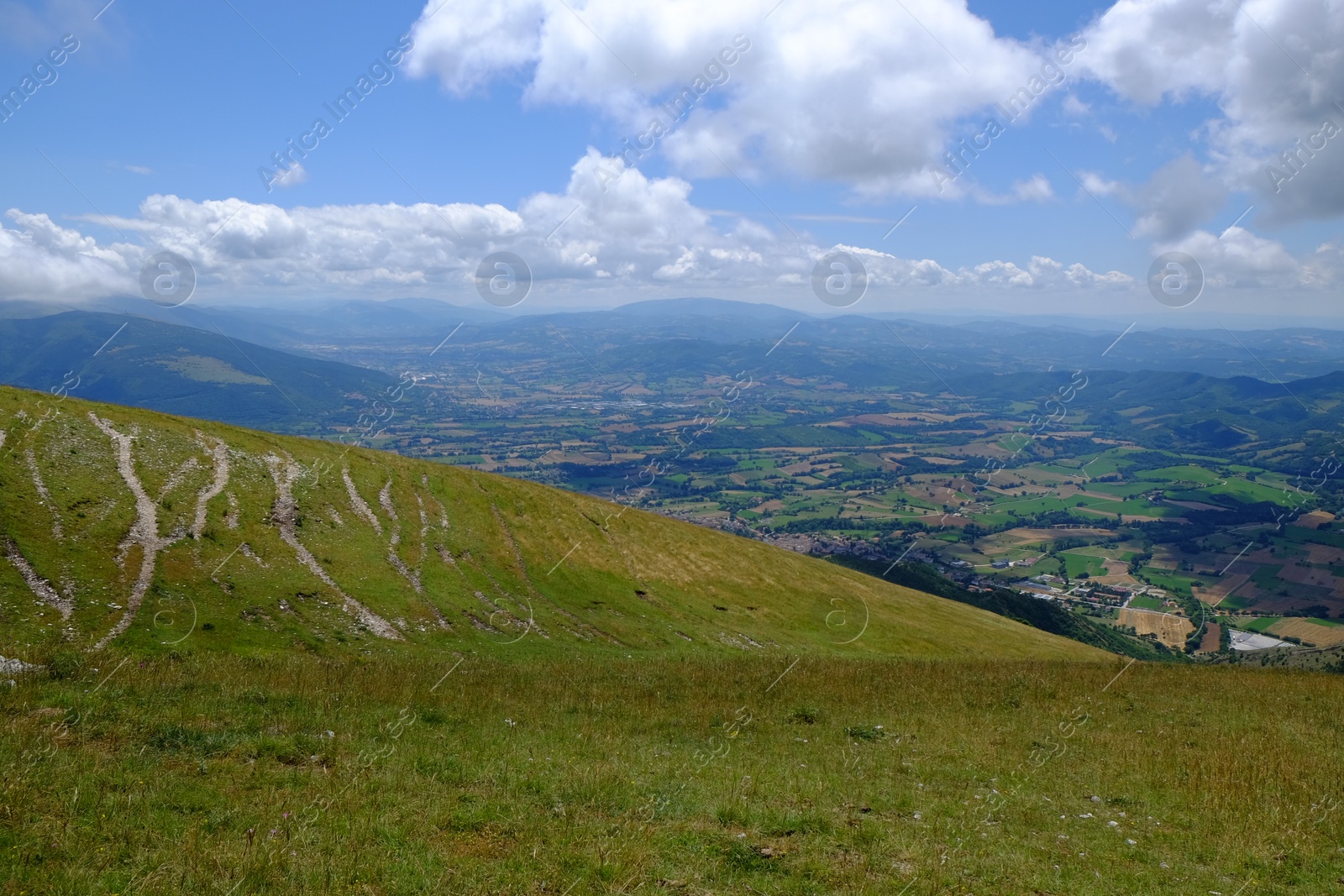 Photo of Picturesque view of green forest in mountains