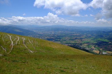 Photo of Picturesque view of green forest in mountains