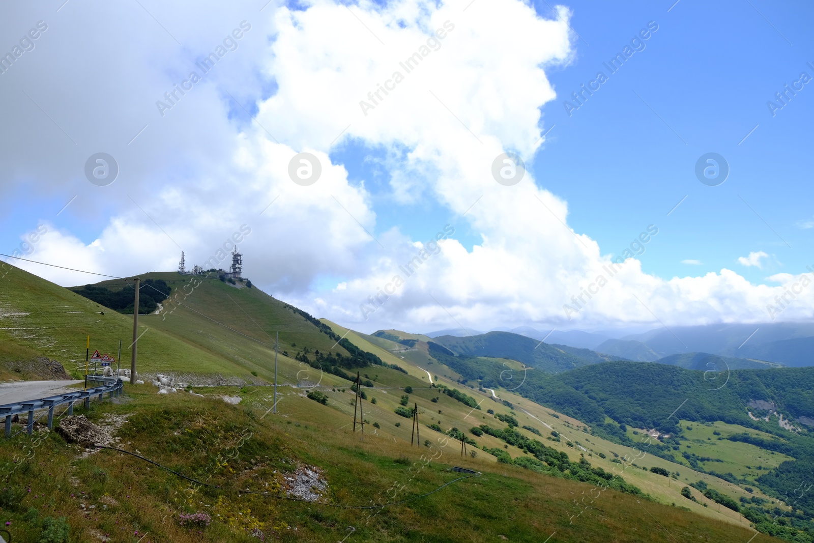 Photo of Picturesque view of green forest in mountains