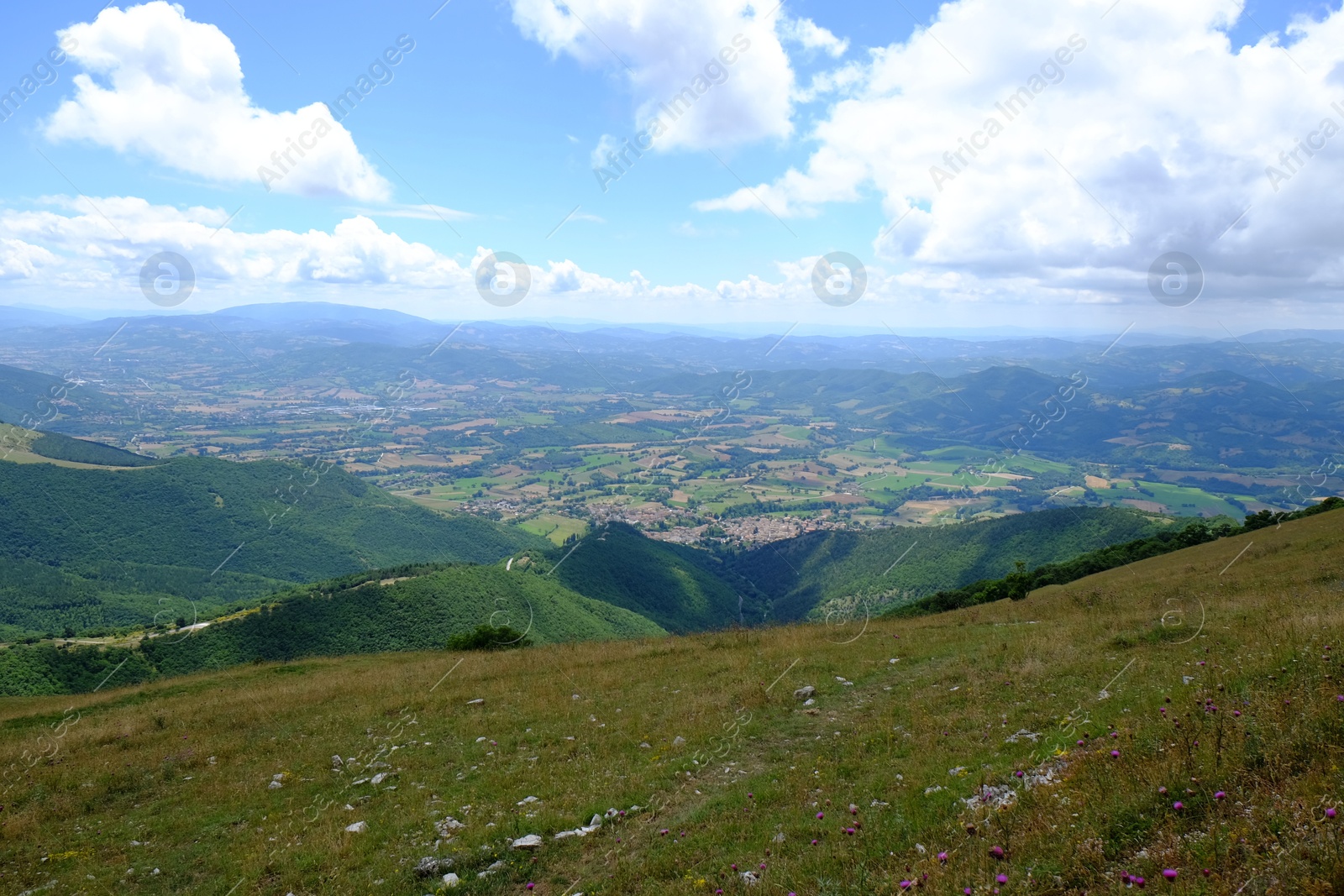 Photo of Picturesque view of green forest in mountains