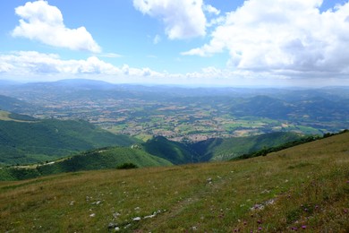 Photo of Picturesque view of green forest in mountains