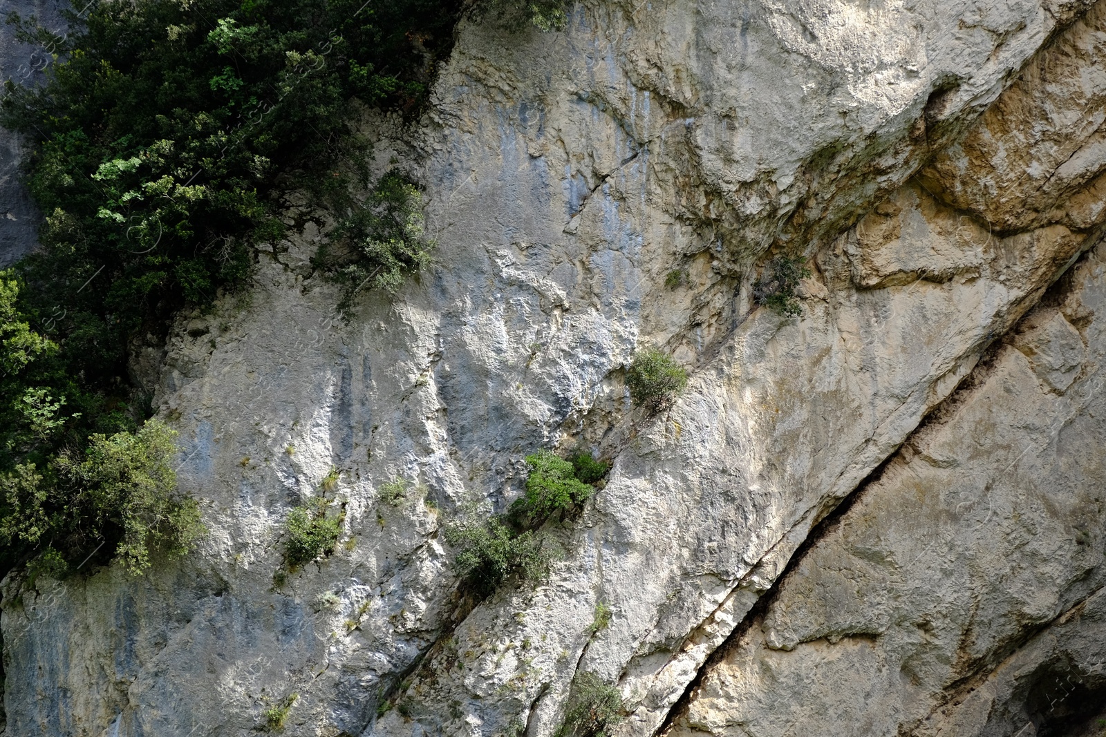 Photo of Texture of rocky cliff with plants in national park