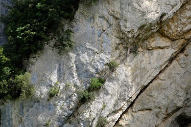 Texture of rocky cliff with plants in national park