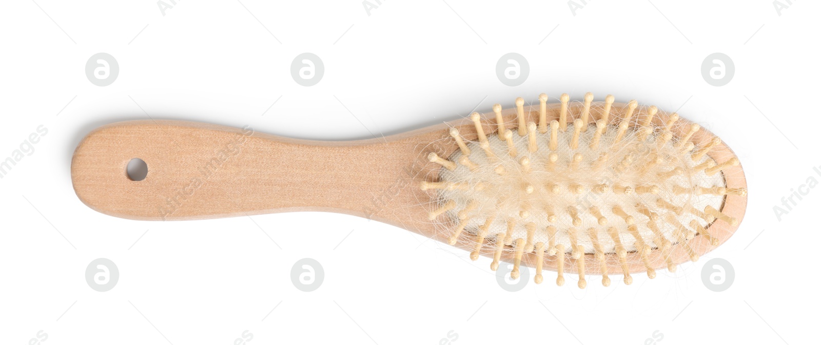 Photo of One brush with lost hair isolated on white, top view