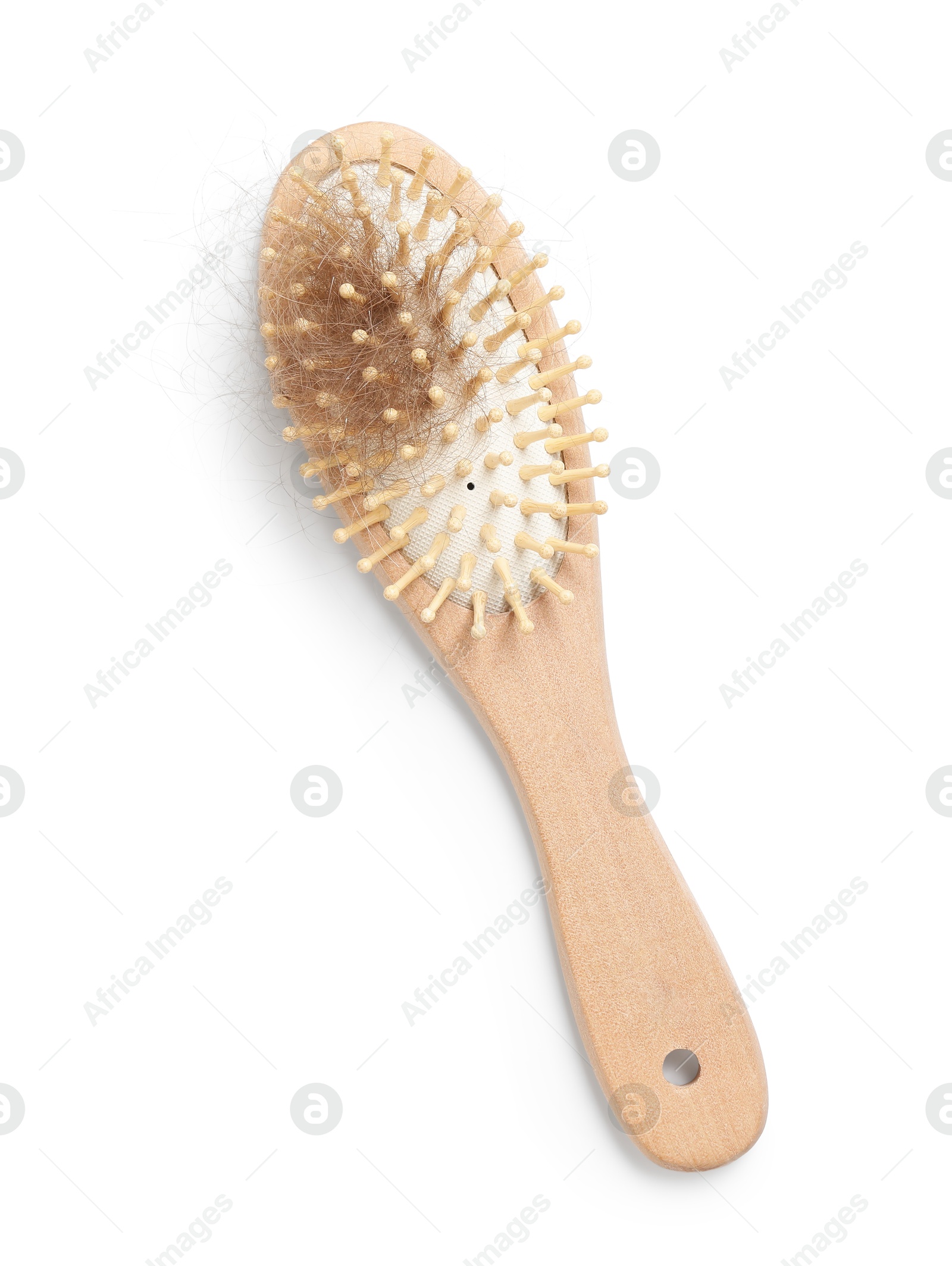 Photo of One brush with lost hair isolated on white, top view