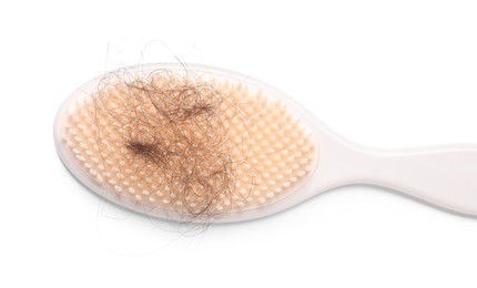 One brush with lost hair isolated on white, top view