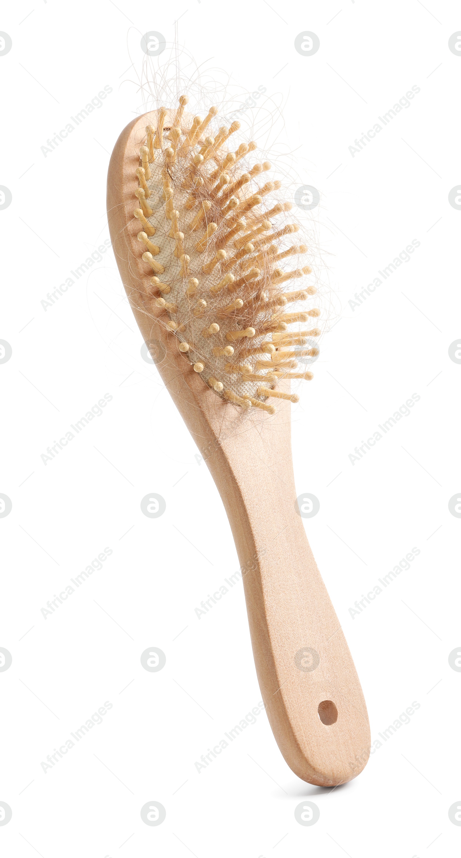 Photo of One brush with lost hair isolated on white