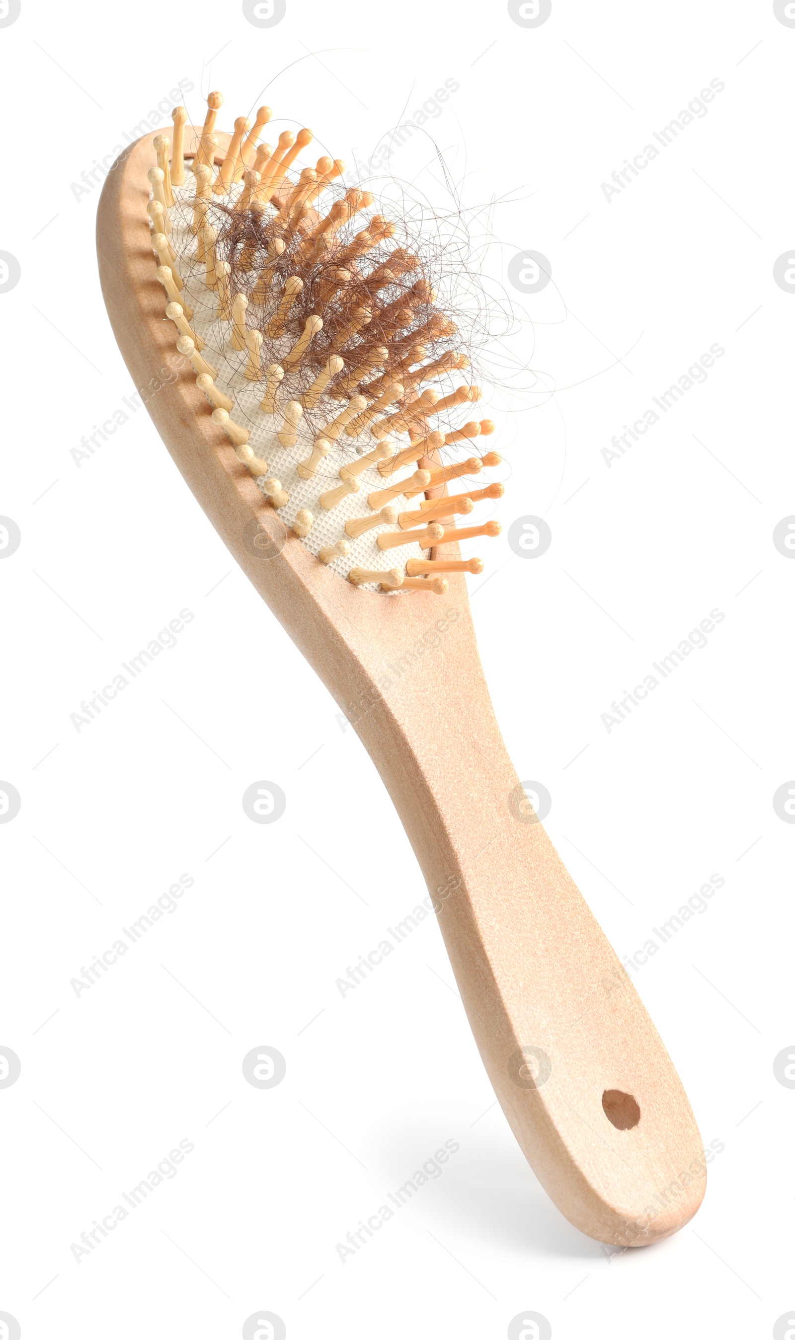 Photo of One brush with lost hair isolated on white