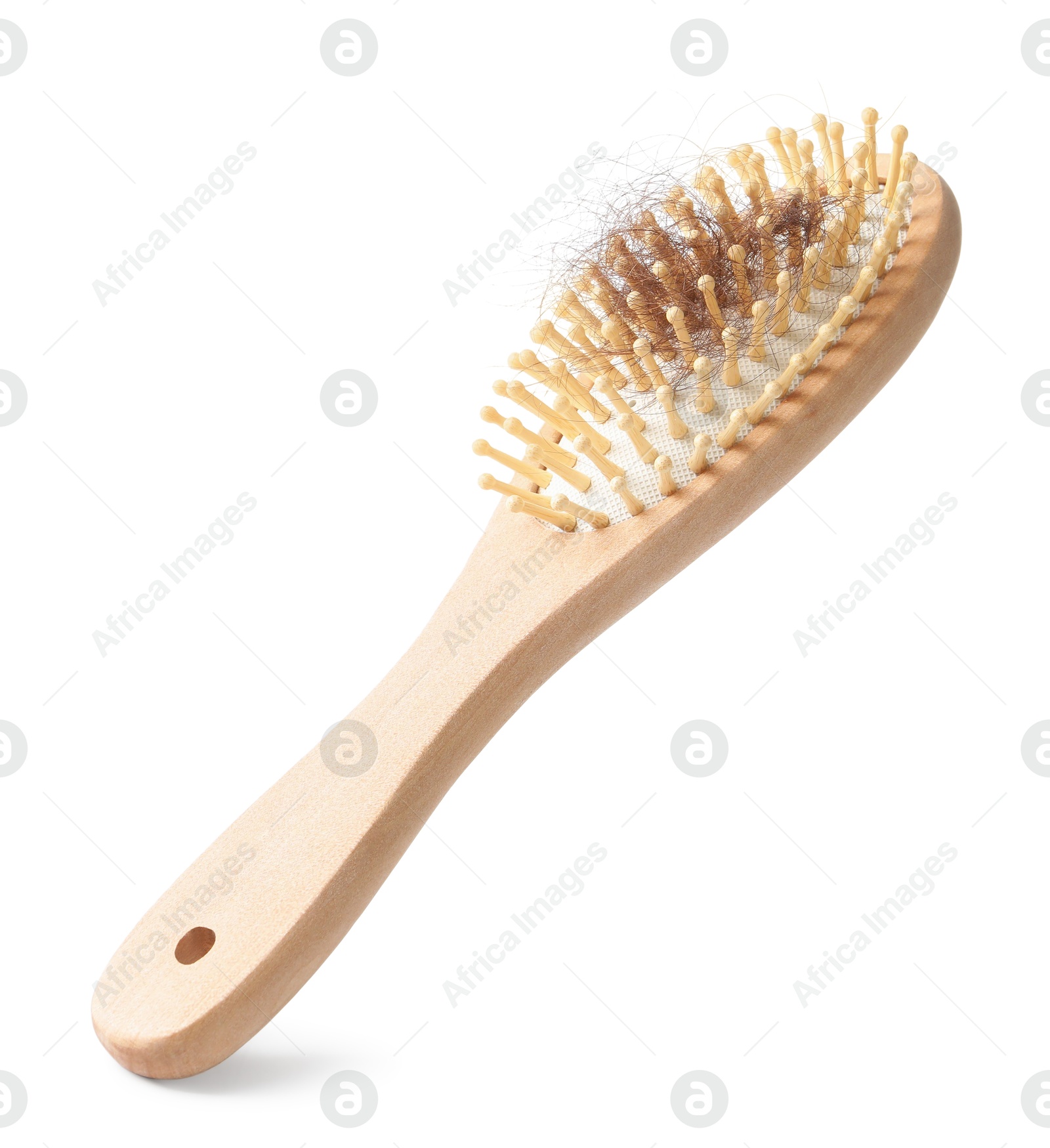 Photo of One brush with lost hair isolated on white