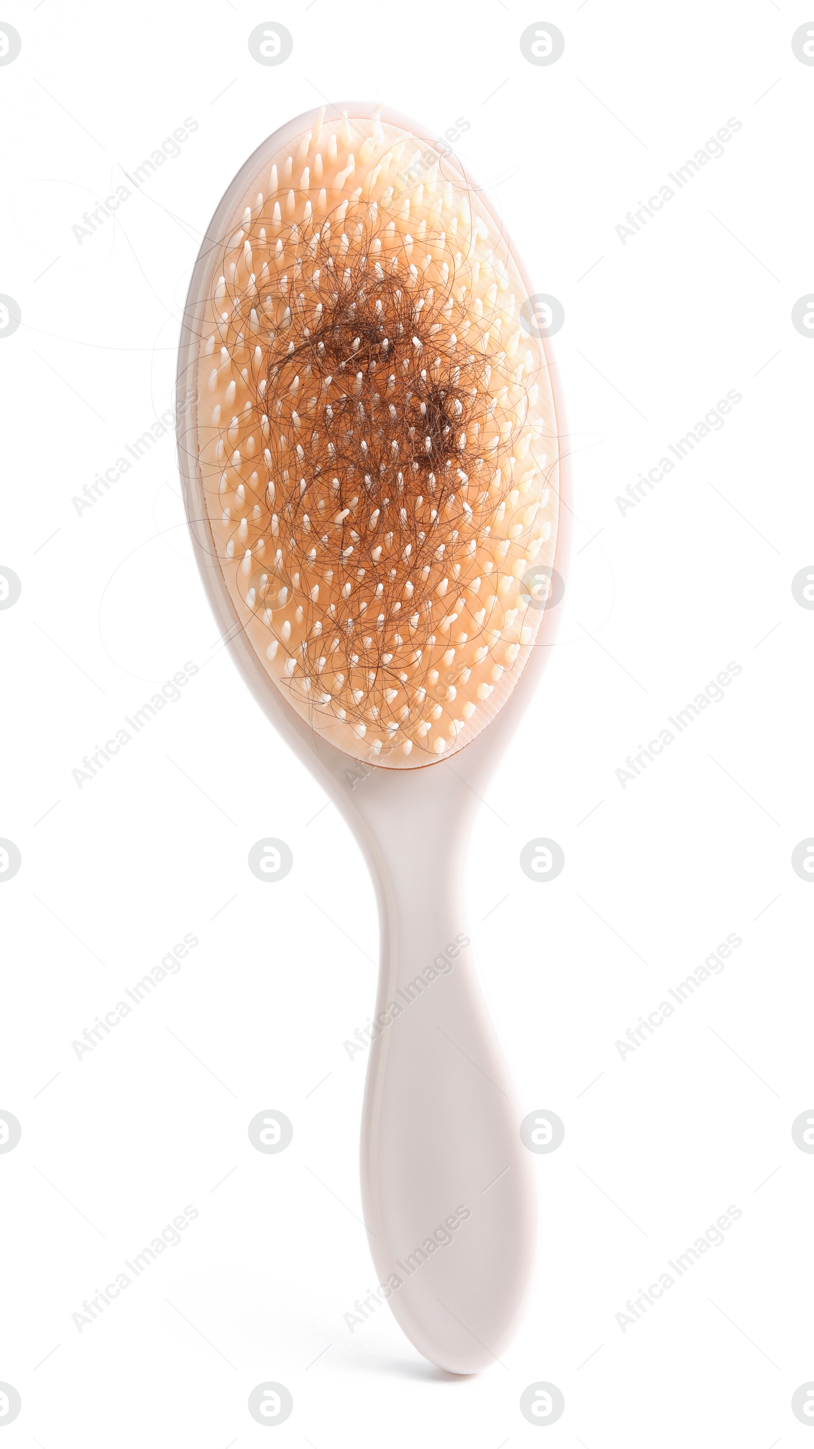 Photo of One brush with lost hair isolated on white