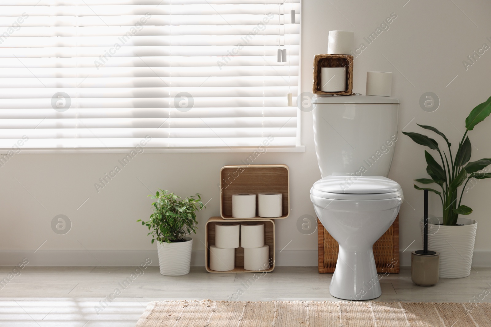 Photo of White toilet bowl, paper rolls and houseplants in bathroom