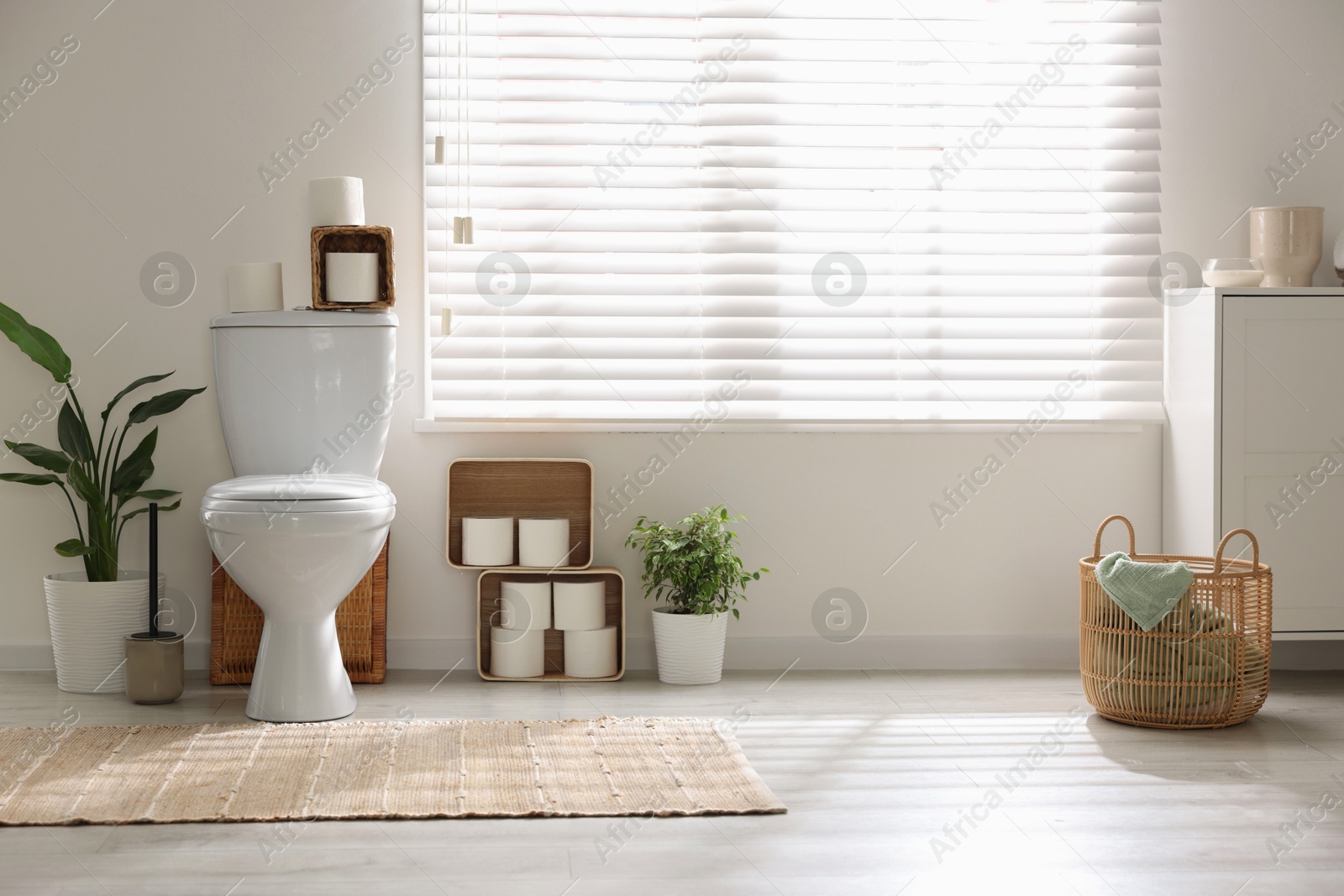 Photo of White toilet bowl, paper rolls and houseplants in bathroom