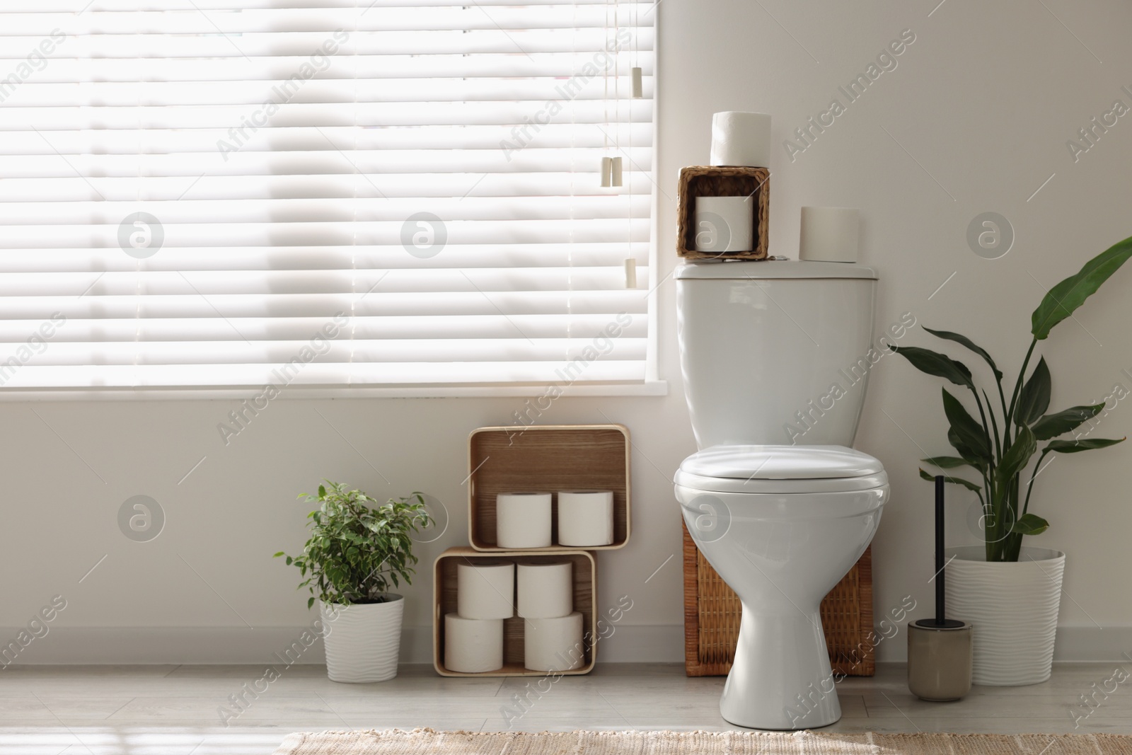 Photo of White toilet bowl, paper rolls and houseplants in bathroom