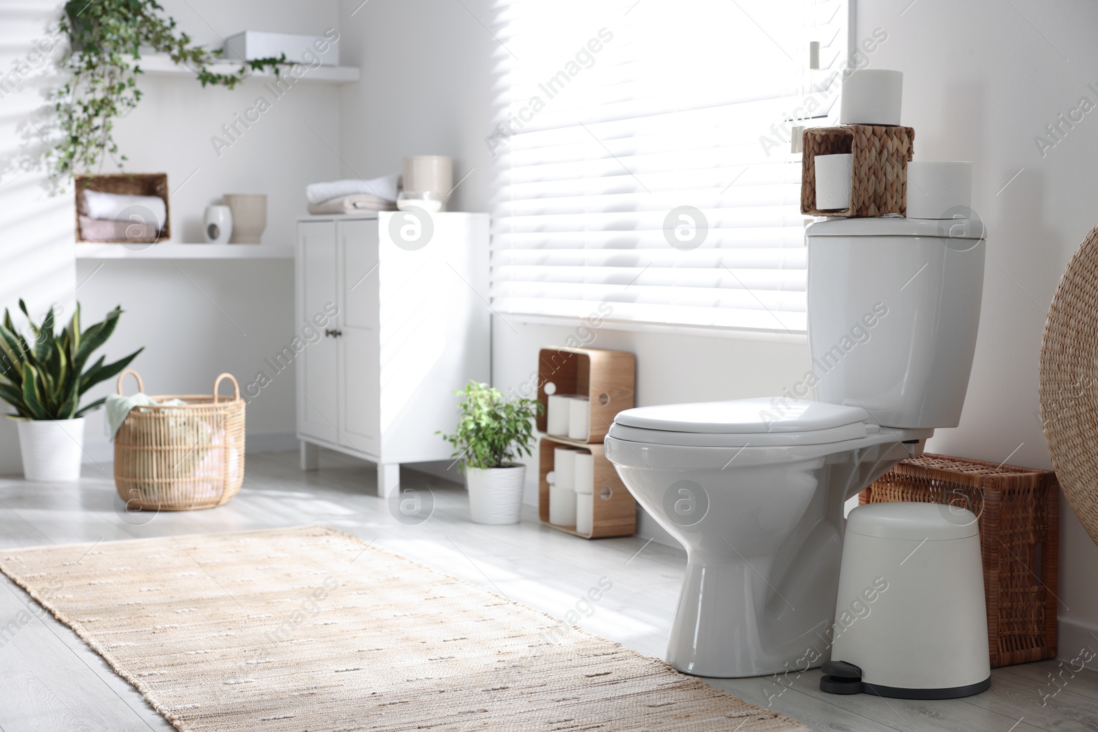 Photo of White toilet bowl, paper rolls and houseplants in bathroom