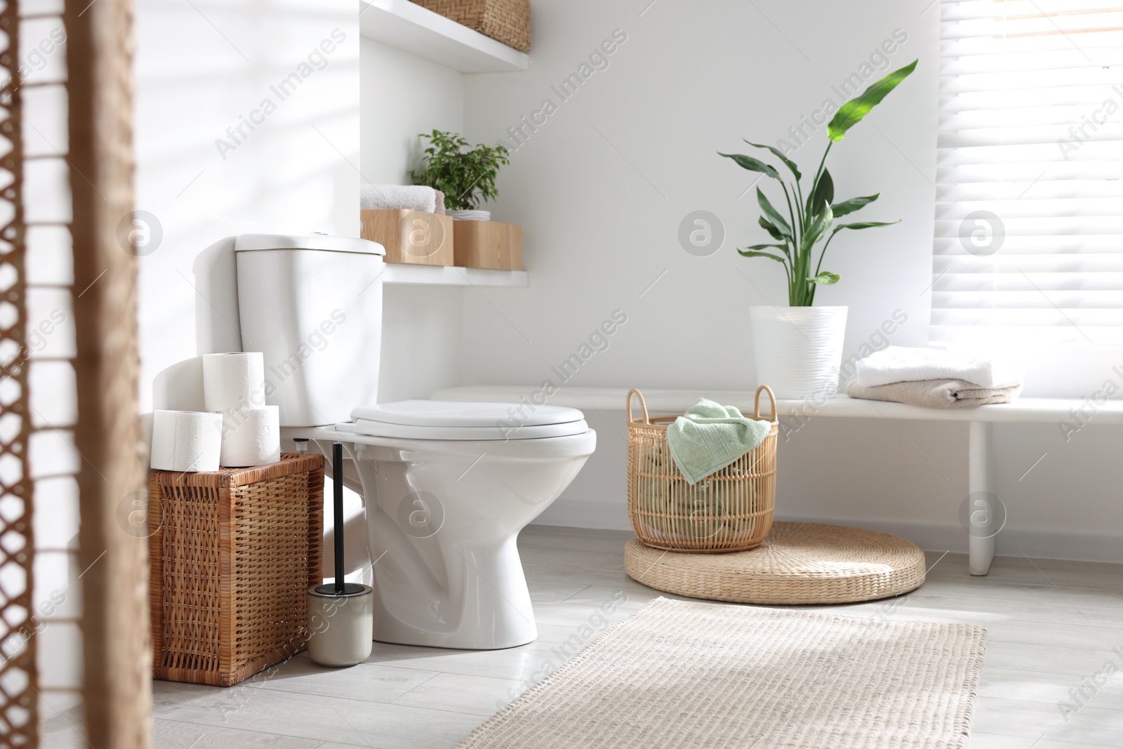 Photo of White toilet bowl, paper rolls and houseplants in bathroom