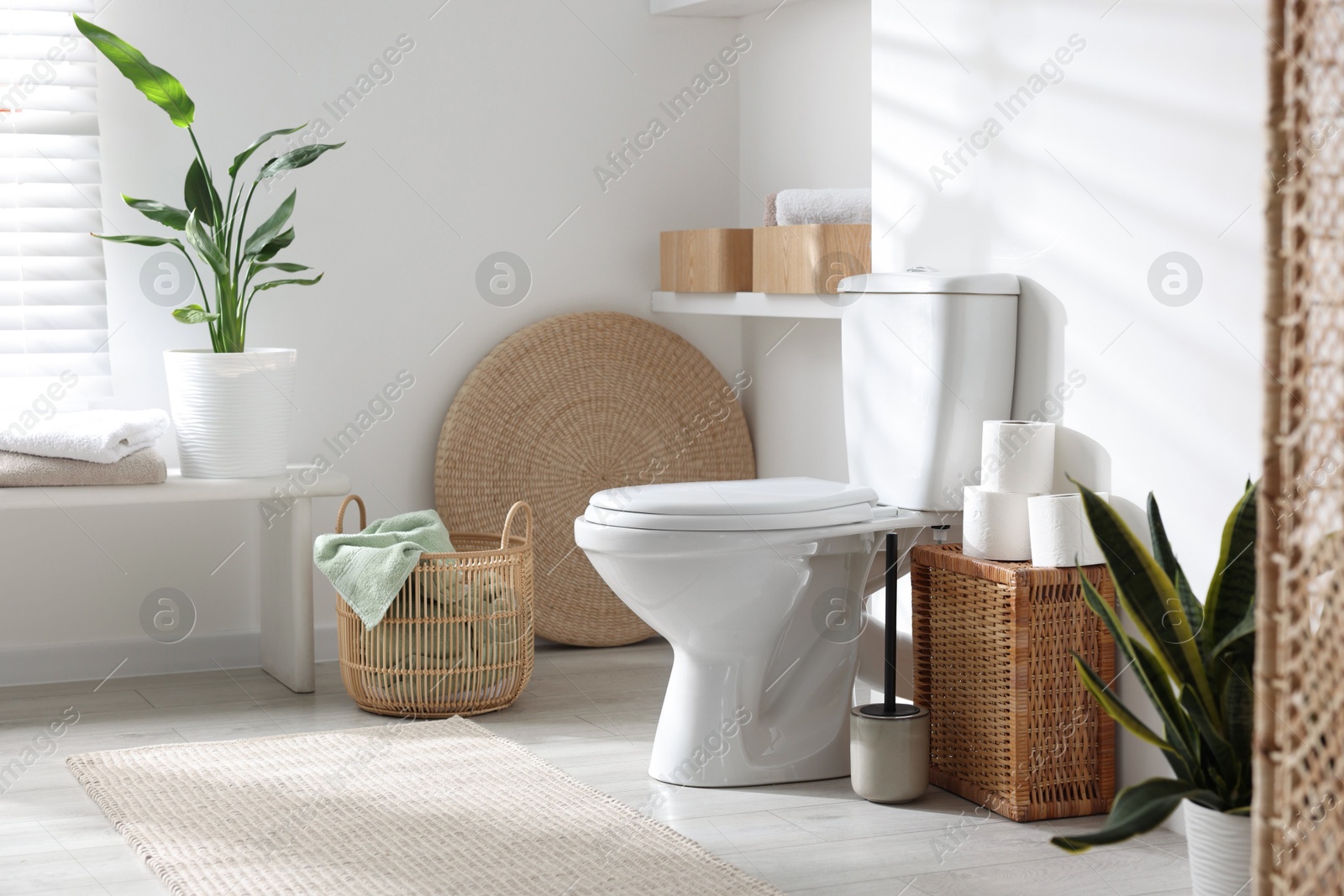 Photo of White toilet bowl, paper rolls and houseplants in bathroom