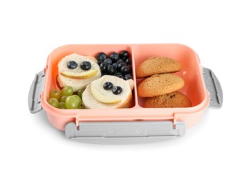 Photo of Lunch box with sandwiches, grapes, blueberries and cookies isolated on white