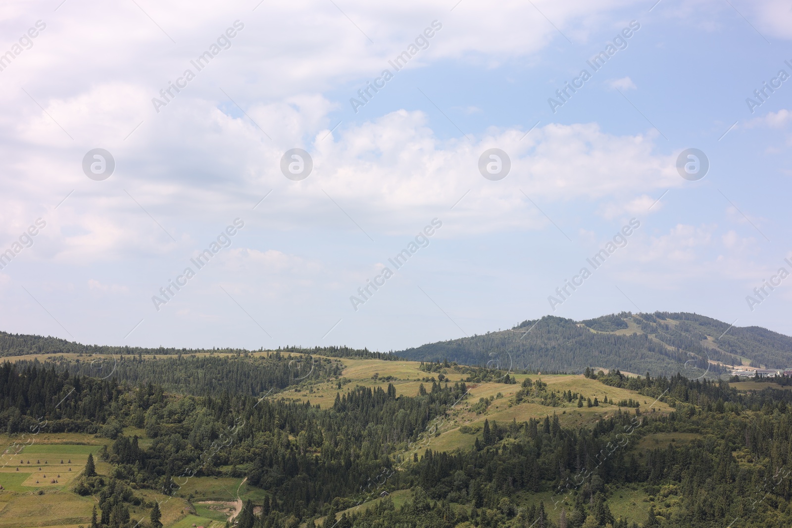 Photo of Picturesque view of forest in mountains under blue sky