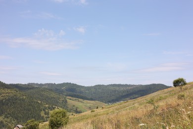 Photo of Picturesque view of forest in mountains under blue sky